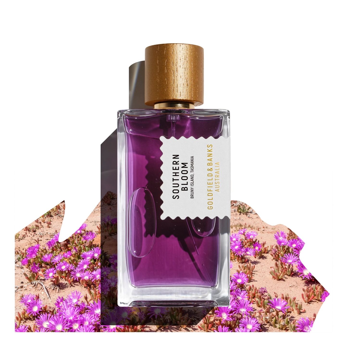 Southern Bloom - Goldfield & Banks | Hallburg AE.